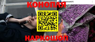 эйфоретик Нягань