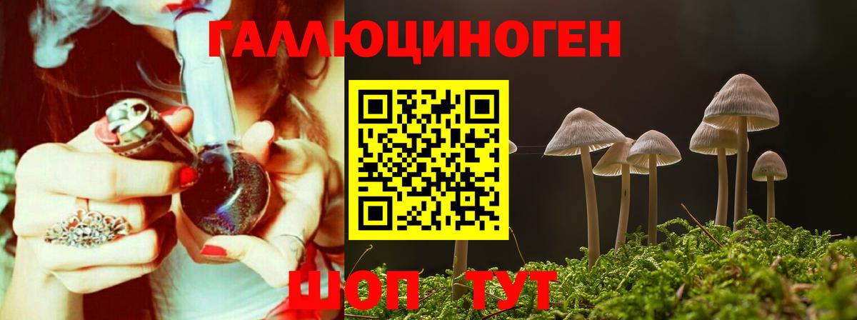Севастополь  Галлюциногенные грибы мицелий  цена   Вход с VPN  Псилоцибиновые грибы GOLDEN TEACHER 